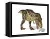 Tyrannosaurus Rex Dinosaur, Artwork-null-Framed Stretched Canvas