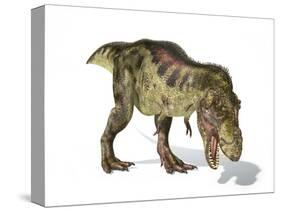 Tyrannosaurus Rex Dinosaur, Artwork-null-Stretched Canvas