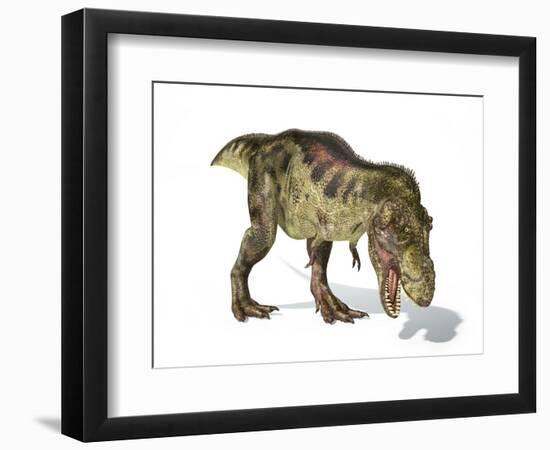 Tyrannosaurus Rex Dinosaur, Artwork-null-Framed Photographic Print