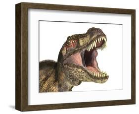 Tyrannosaurus Rex Dinosaur, Artwork-null-Framed Photographic Print