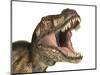 Tyrannosaurus Rex Dinosaur, Artwork-null-Mounted Photographic Print