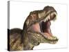 Tyrannosaurus Rex Dinosaur, Artwork-null-Stretched Canvas