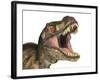 Tyrannosaurus Rex Dinosaur, Artwork-null-Framed Photographic Print