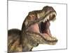 Tyrannosaurus Rex Dinosaur, Artwork-null-Mounted Photographic Print