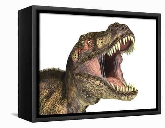 Tyrannosaurus Rex Dinosaur, Artwork-null-Framed Stretched Canvas