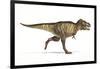 Tyrannosaurus Rex Dinosaur, Artwork-null-Framed Photographic Print