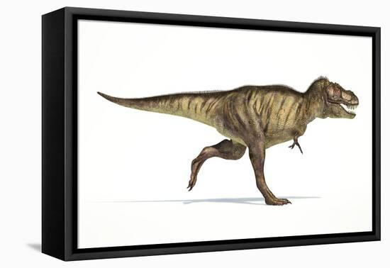 Tyrannosaurus Rex Dinosaur, Artwork-null-Framed Stretched Canvas