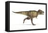Tyrannosaurus Rex Dinosaur, Artwork-null-Framed Stretched Canvas