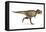 Tyrannosaurus Rex Dinosaur, Artwork-null-Framed Stretched Canvas