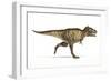 Tyrannosaurus Rex Dinosaur, Artwork-null-Framed Photographic Print