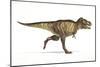 Tyrannosaurus Rex Dinosaur, Artwork-null-Mounted Photographic Print