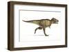 Tyrannosaurus Rex Dinosaur, Artwork-null-Framed Photographic Print