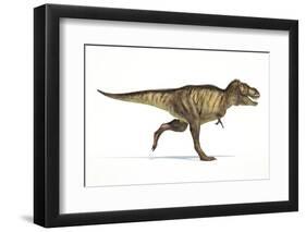 Tyrannosaurus Rex Dinosaur, Artwork-null-Framed Photographic Print