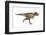 Tyrannosaurus Rex Dinosaur, Artwork-null-Framed Photographic Print