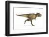 Tyrannosaurus Rex Dinosaur, Artwork-null-Framed Photographic Print