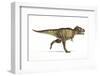 Tyrannosaurus Rex Dinosaur, Artwork-null-Framed Photographic Print