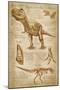 Tyrannosaurus Rex Dinosaur - DiVinci Style-Lantern Press-Mounted Art Print