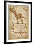 Tyrannosaurus Rex Dinosaur - DiVinci Style-Lantern Press-Framed Art Print