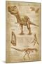 Tyrannosaurus Rex Dinosaur - DiVinci Style-Lantern Press-Mounted Art Print