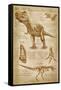 Tyrannosaurus Rex Dinosaur - DiVinci Style-Lantern Press-Framed Stretched Canvas