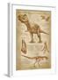 Tyrannosaurus Rex Dinosaur - DiVinci Style-Lantern Press-Framed Art Print