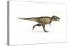 Tyrannosaurus Rex Dinosaur on White Background-null-Stretched Canvas