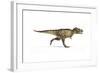 Tyrannosaurus Rex Dinosaur on White Background-null-Framed Art Print