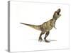 Tyrannosaurus Rex Dinosaur on White Background-null-Stretched Canvas