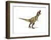 Tyrannosaurus Rex Dinosaur on White Background-null-Framed Art Print