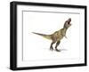 Tyrannosaurus Rex Dinosaur on White Background-null-Framed Art Print