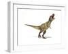 Tyrannosaurus Rex Dinosaur on White Background-null-Framed Art Print