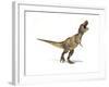 Tyrannosaurus Rex Dinosaur on White Background-null-Framed Art Print