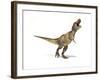 Tyrannosaurus Rex Dinosaur on White Background-null-Framed Art Print