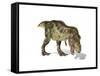 Tyrannosaurus Rex Dinosaur on White Background-null-Framed Stretched Canvas