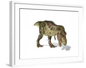 Tyrannosaurus Rex Dinosaur on White Background-null-Framed Art Print