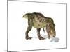 Tyrannosaurus Rex Dinosaur on White Background-null-Mounted Art Print