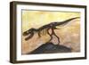 Tyrannosaurus Rex Dinosaur Skeleton-Stocktrek Images-Framed Art Print