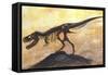 Tyrannosaurus Rex Dinosaur Skeleton-Stocktrek Images-Framed Stretched Canvas