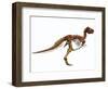 Tyrannosaurus Rex Dinosaur Skeleton-null-Framed Art Print