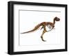 Tyrannosaurus Rex Dinosaur Skeleton-null-Framed Art Print