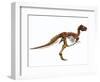 Tyrannosaurus Rex Dinosaur Skeleton-null-Framed Art Print