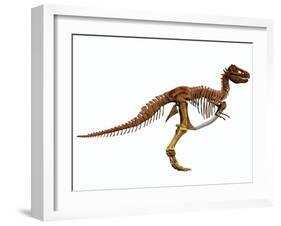 Tyrannosaurus Rex Dinosaur Skeleton-null-Framed Art Print