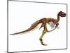 Tyrannosaurus Rex Dinosaur Skeleton-null-Mounted Art Print