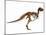 Tyrannosaurus Rex Dinosaur Skeleton-null-Mounted Art Print