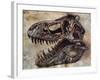 Tyrannosaurus Rex Dinosaur Skull-Stocktrek Images-Framed Art Print