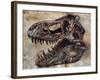 Tyrannosaurus Rex Dinosaur Skull-Stocktrek Images-Framed Art Print