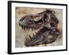 Tyrannosaurus Rex Dinosaur Skull-Stocktrek Images-Framed Art Print