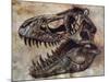 Tyrannosaurus Rex Dinosaur Skull-Stocktrek Images-Mounted Art Print