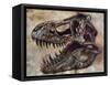 Tyrannosaurus Rex Dinosaur Skull-Stocktrek Images-Framed Stretched Canvas