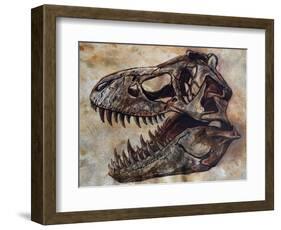 Tyrannosaurus Rex Dinosaur Skull-Stocktrek Images-Framed Art Print